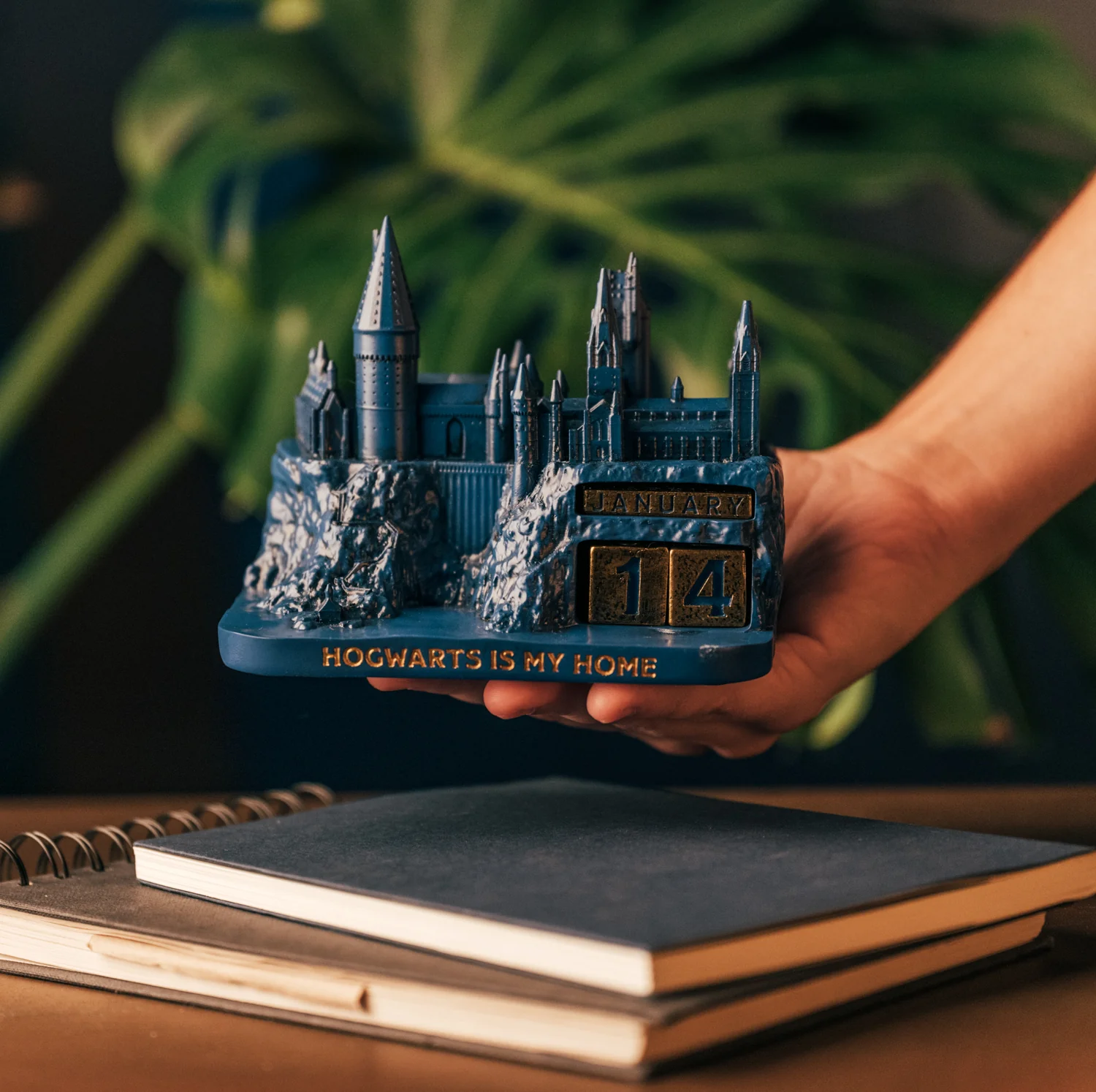 Miniatura 7