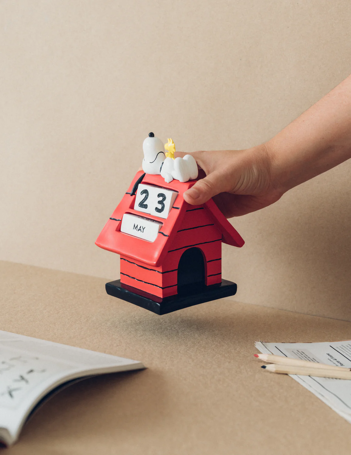 Miniatura 6