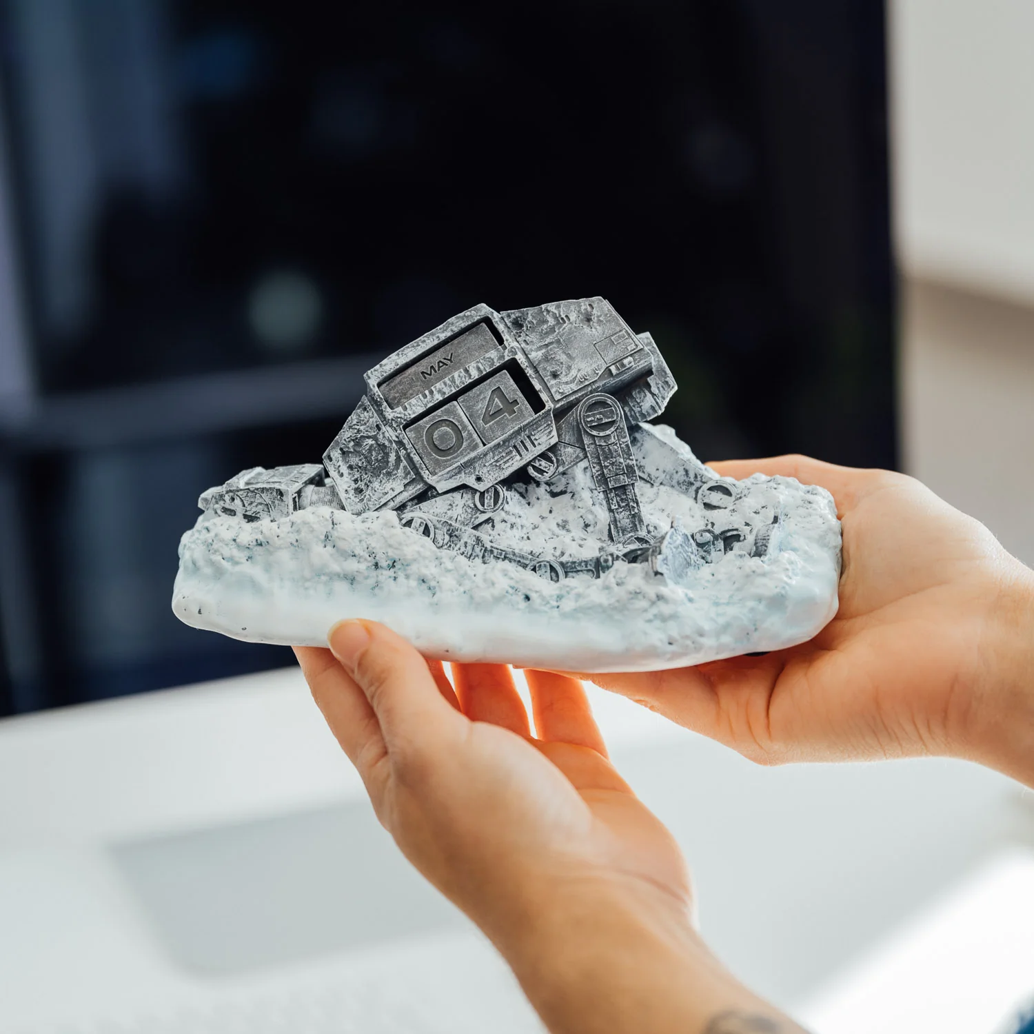 Miniatura 6