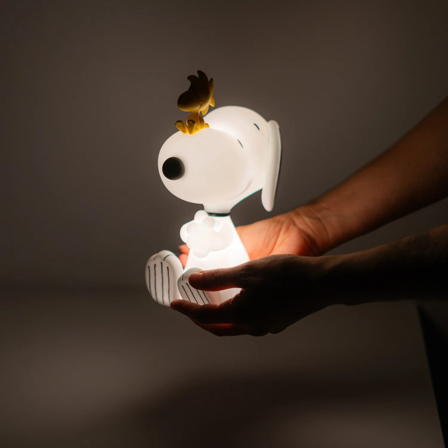 Miniatura 8