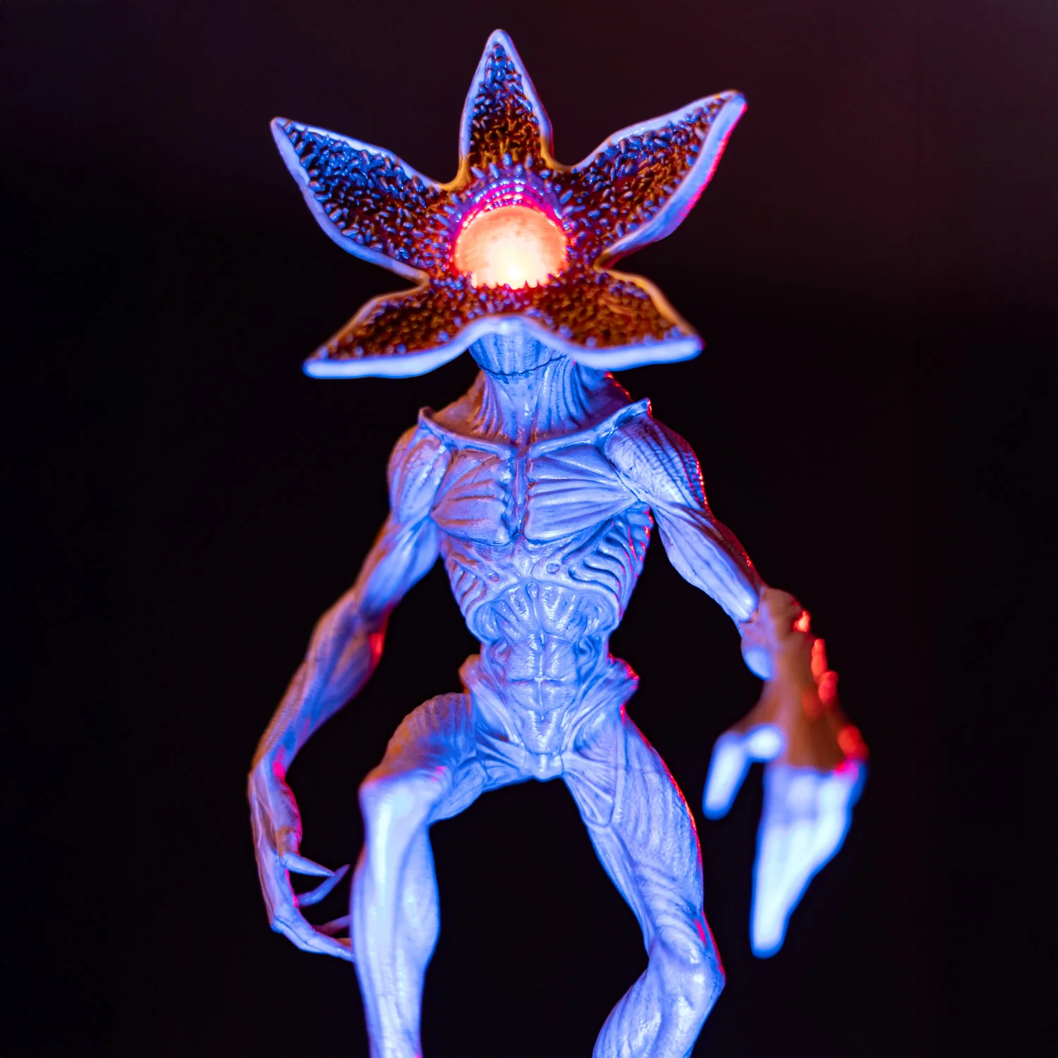 Miniatura 7