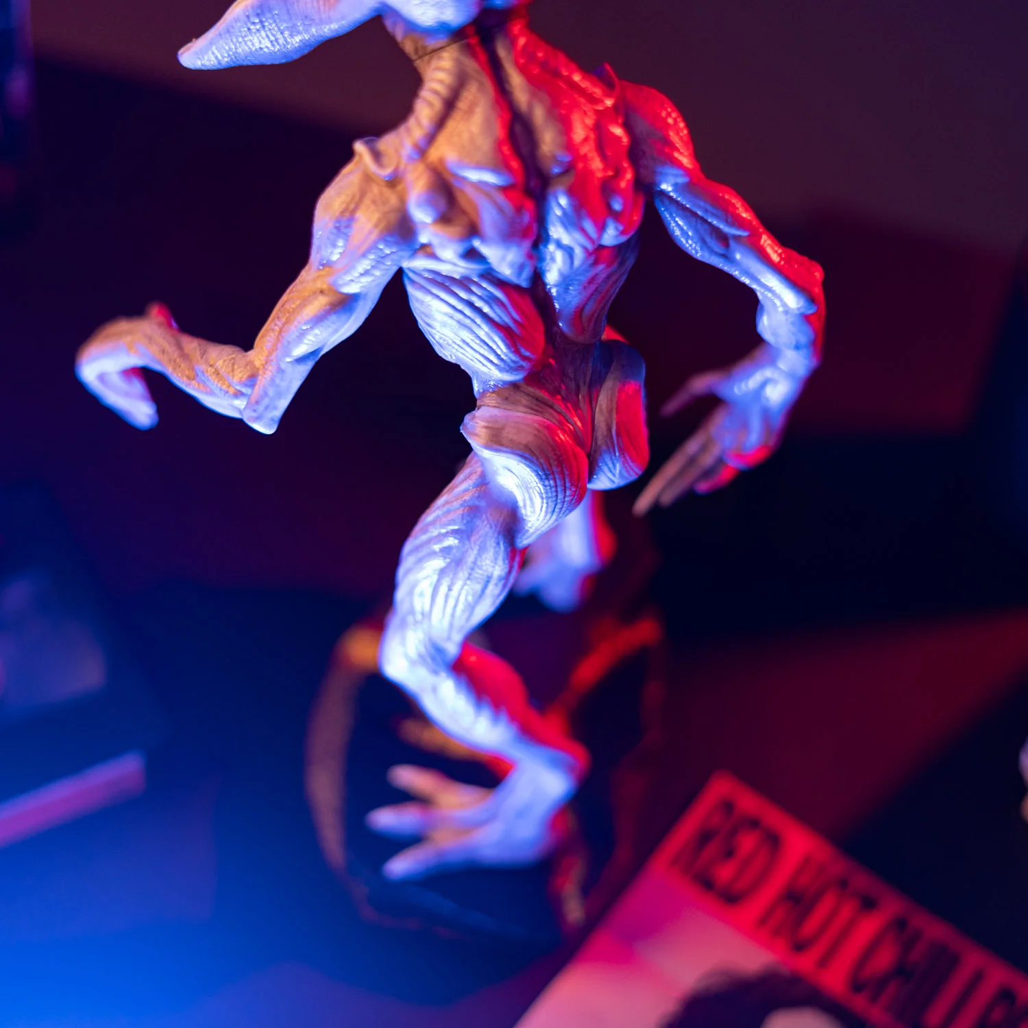 Miniatura 8